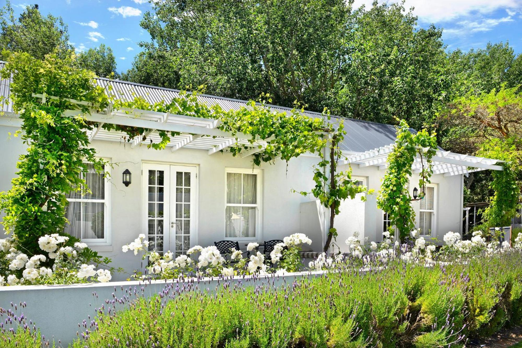 Lavender Farm Boutique Guest House Franschhoek Dış mekan fotoğraf
