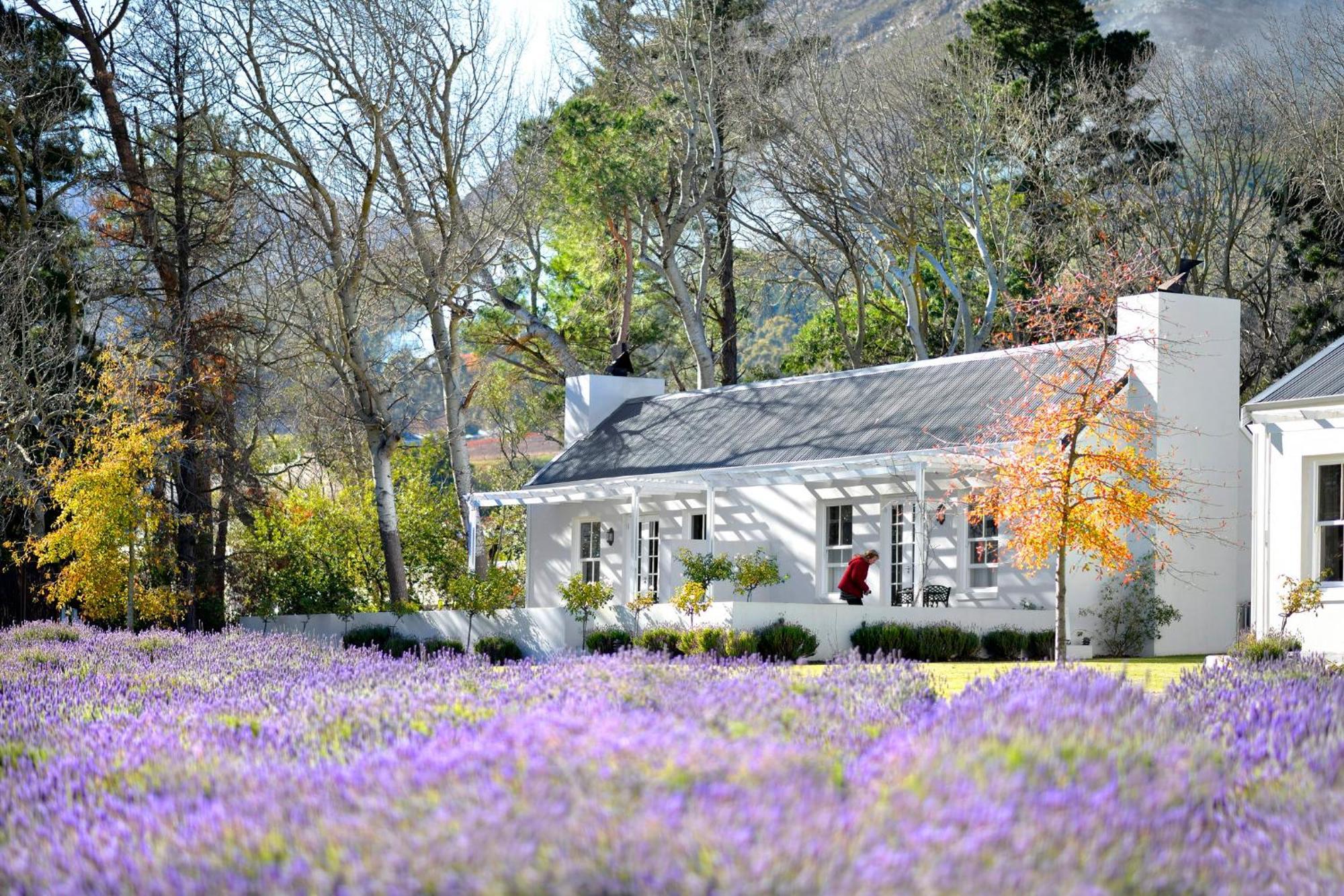 Lavender Farm Boutique Guest House Franschhoek Dış mekan fotoğraf