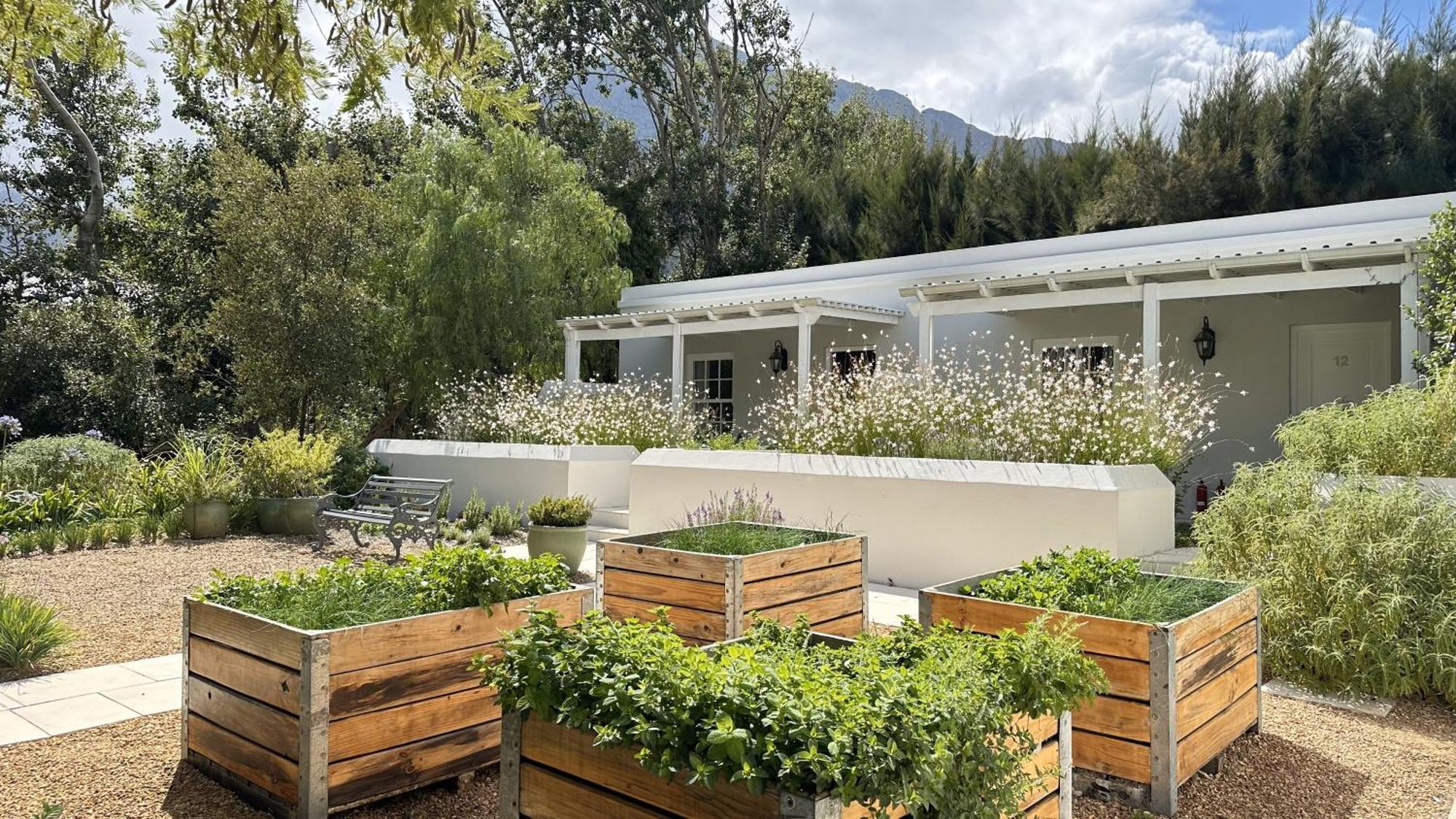 Lavender Farm Boutique Guest House Franschhoek Dış mekan fotoğraf